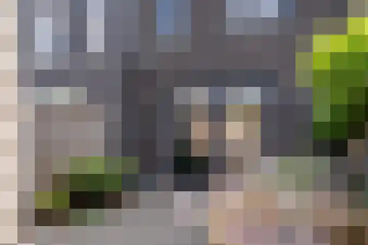 Vuurvlinderlaan 88 Den Haag thumbnail 28