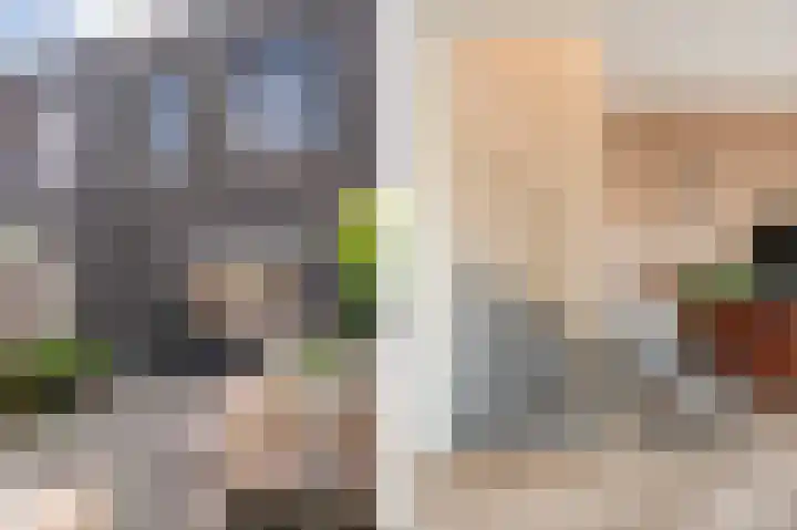 Vuurvlinderlaan 88 Den Haag thumbnail 31