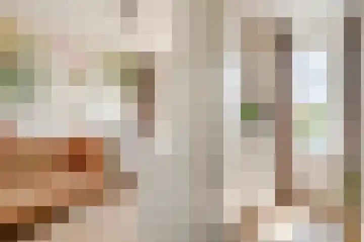 Vuurvlinderlaan 88 Den Haag thumbnail 34
