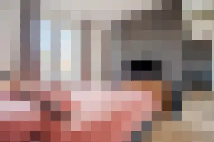 Vuurvlinderlaan 88 Den Haag thumbnail 37