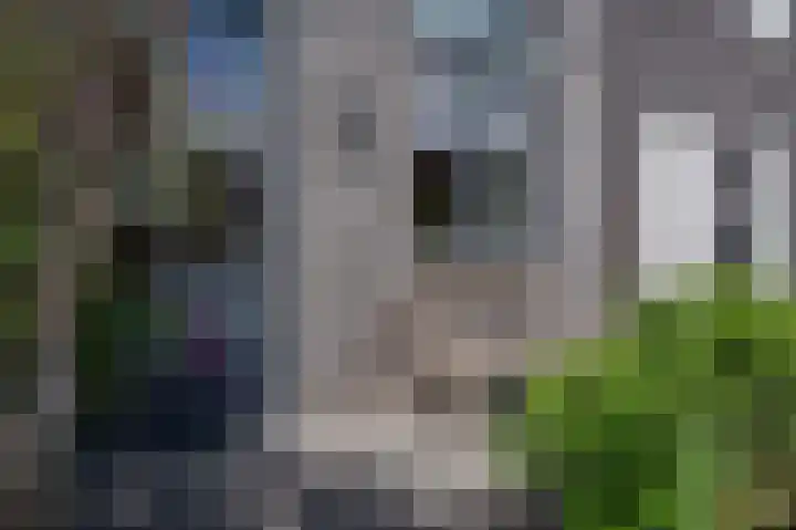 Vuurvlinderlaan 88 Den Haag thumbnail 4