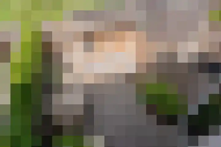 Vuurvlinderlaan 88 Den Haag thumbnail 41