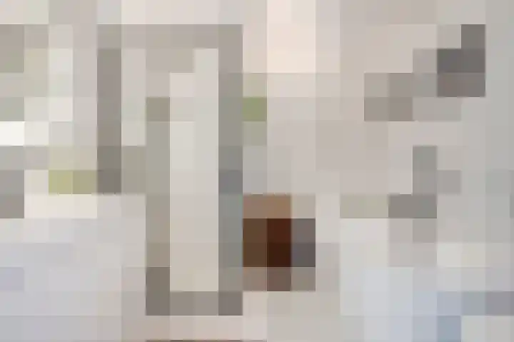 Vuurvlinderlaan 88 Den Haag thumbnail 42