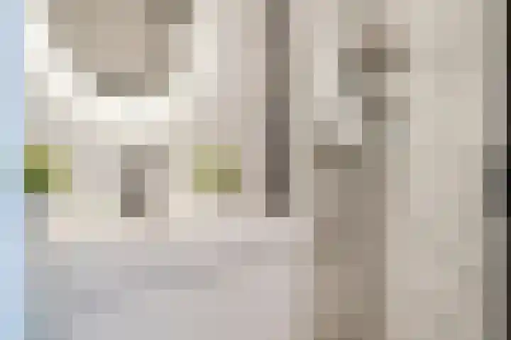 Vuurvlinderlaan 88 Den Haag thumbnail 43
