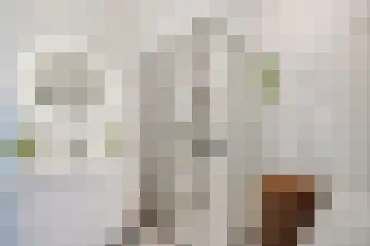 Vuurvlinderlaan 88 Den Haag thumbnail 46