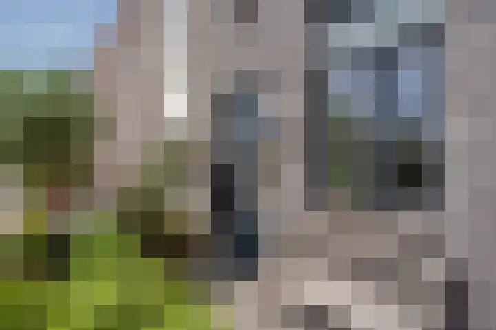 Vuurvlinderlaan 88 Den Haag thumbnail 5