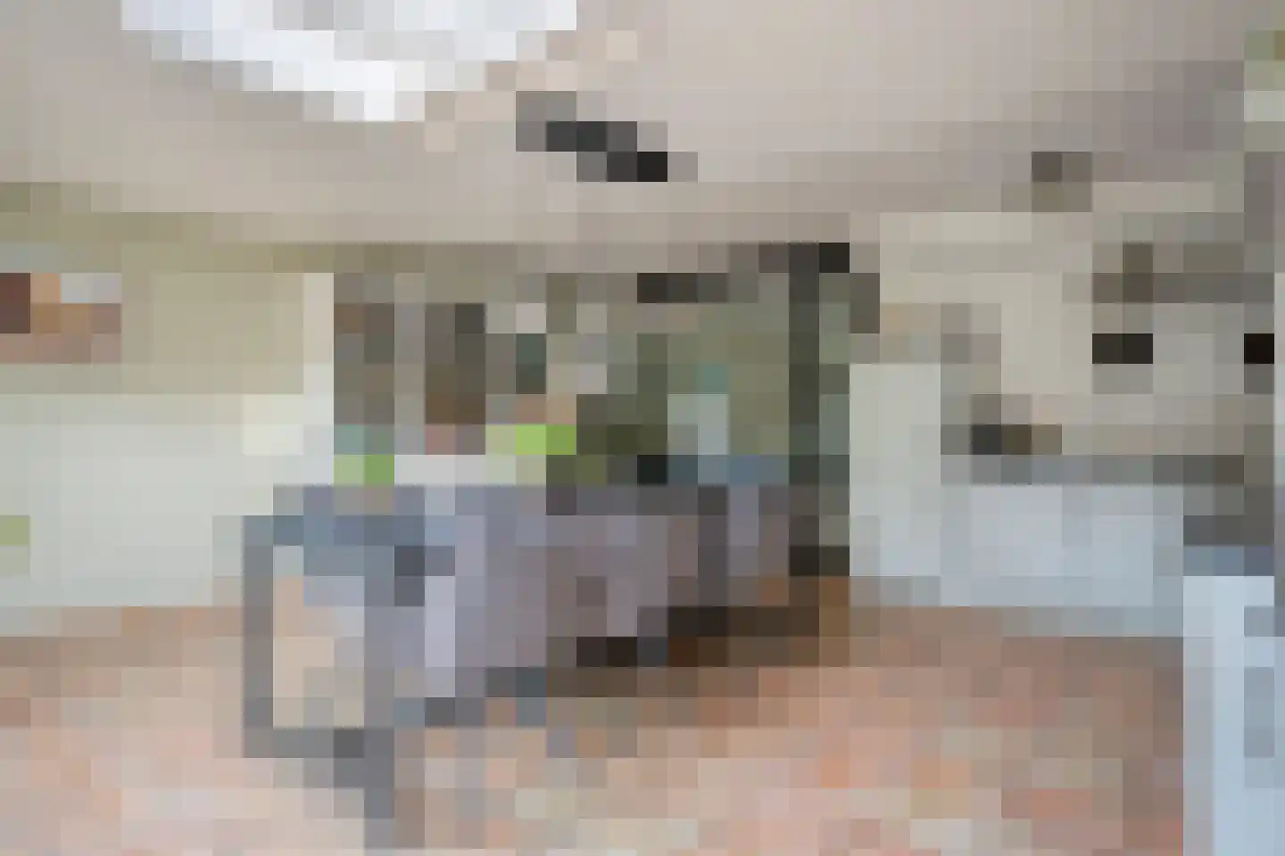 Vuurvlinderronde 25 Veenendaal thumbnail 13