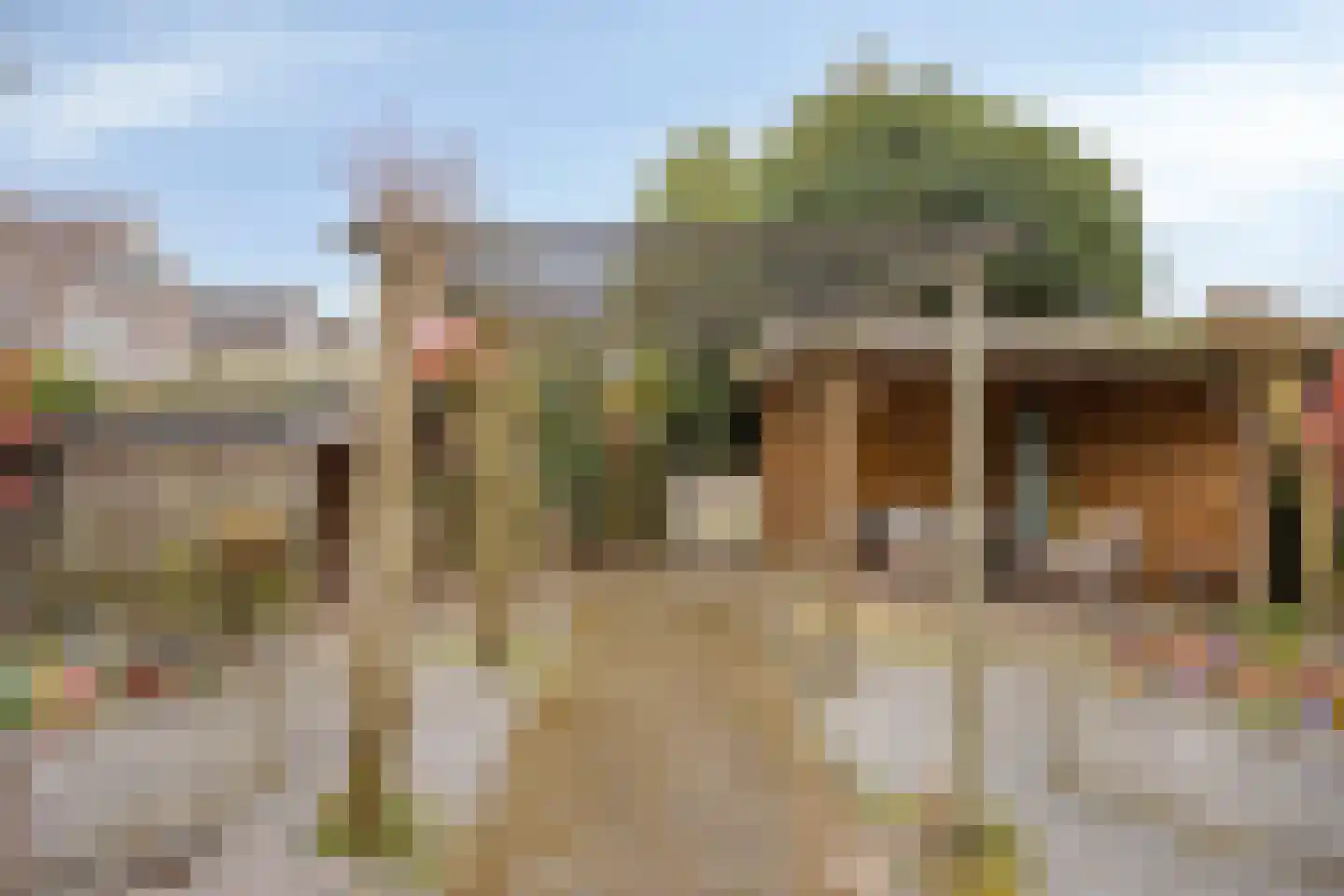 Vuurvlinderronde 25 Veenendaal thumbnail 39