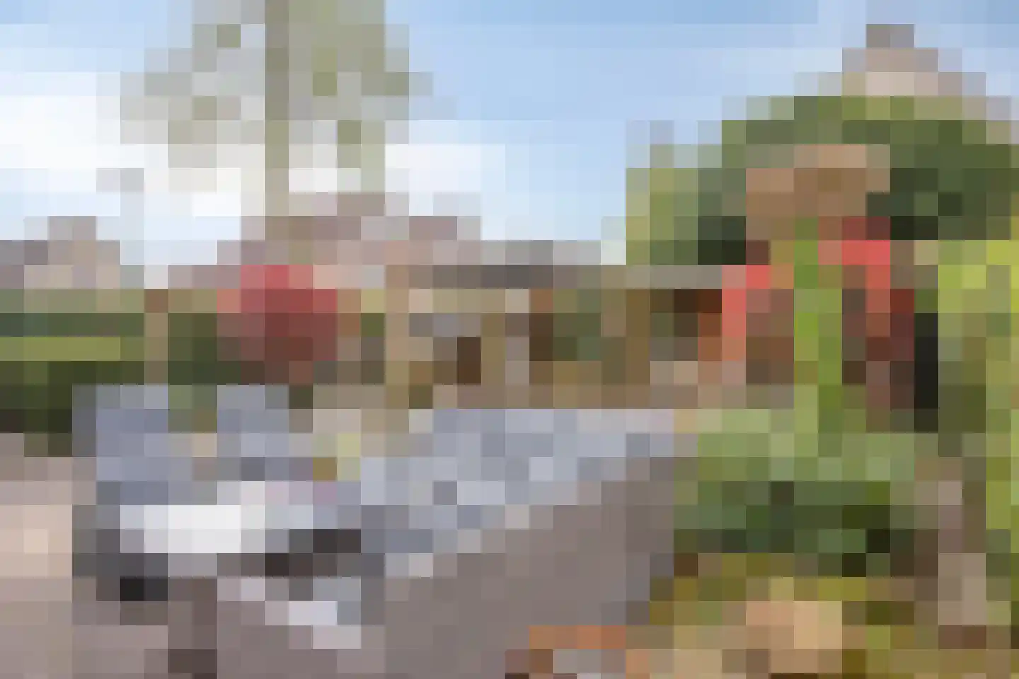 Vuurvlinderronde 25 Veenendaal thumbnail 4