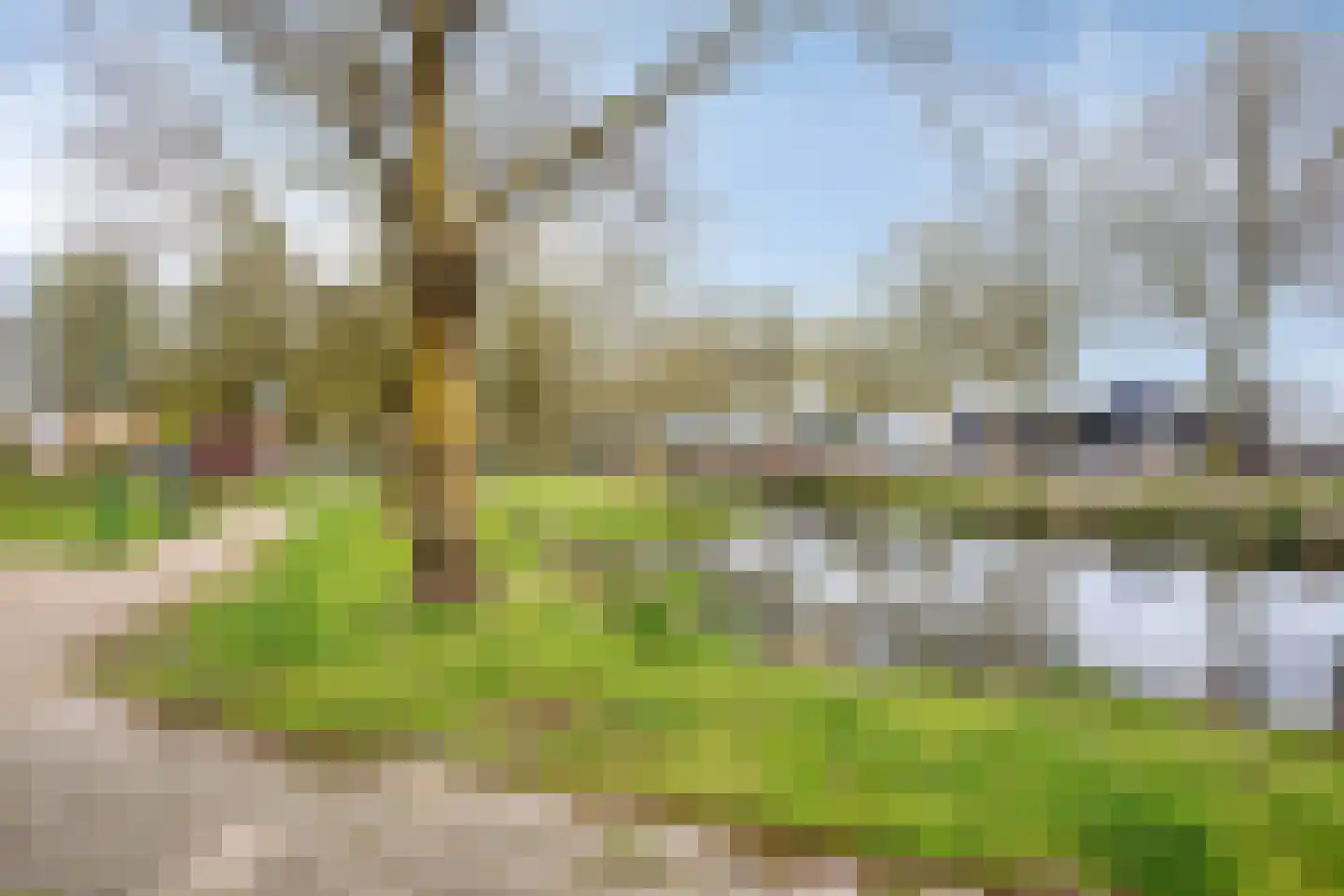 Vuurvlinderronde 25 Veenendaal thumbnail 44
