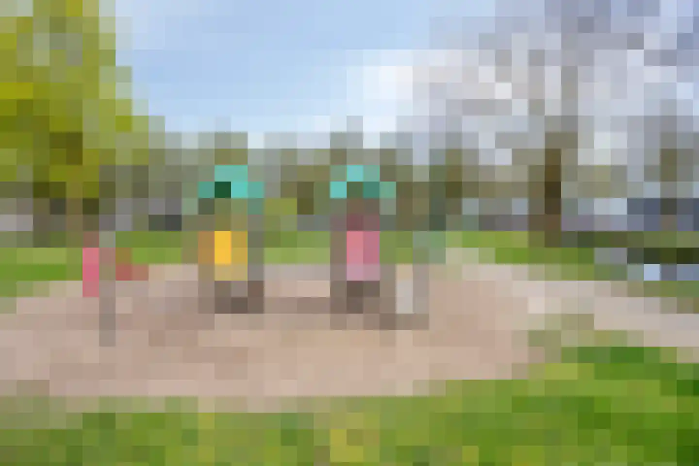 Vuurvlinderronde 25 Veenendaal thumbnail 45