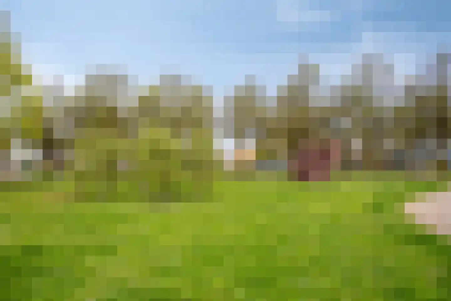 Vuurvlinderronde 25 Veenendaal thumbnail 46