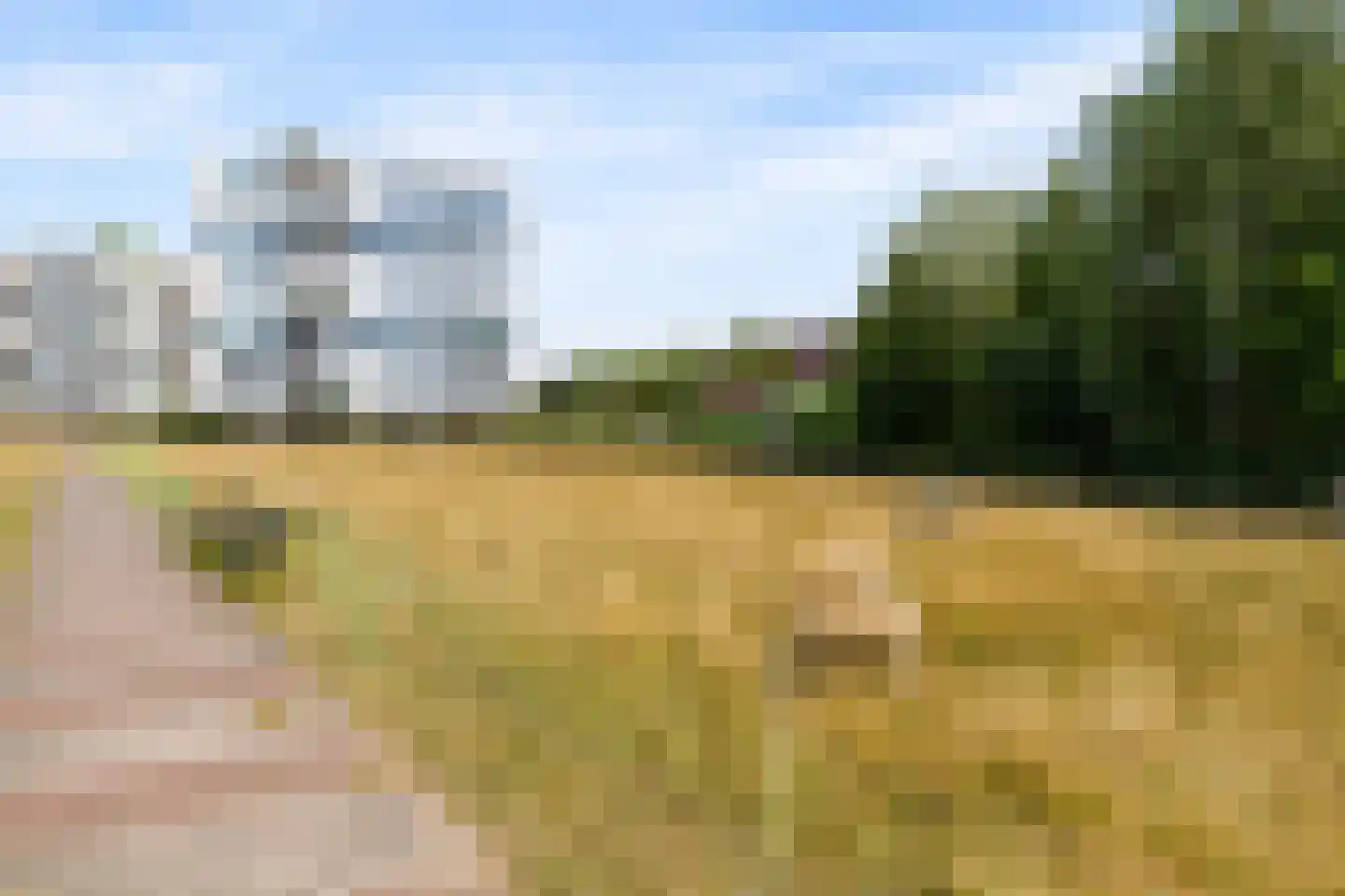 Vuurvlindersingel 104 Utrecht thumbnail 45