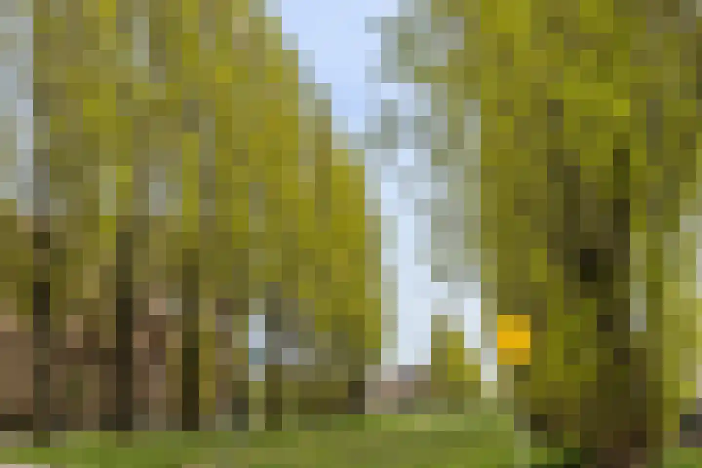 Vuurvlindersingel 11 Utrecht thumbnail 44