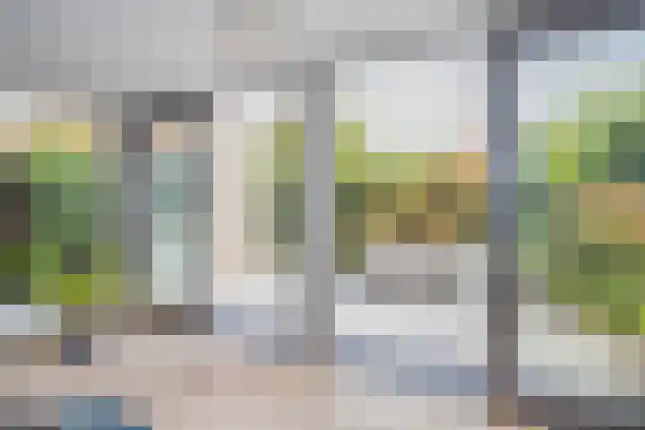 Vuurvlindersingel 12 Utrecht thumbnail 33