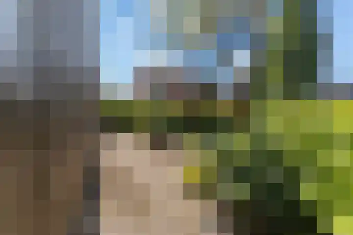 Vuurvlindersingel 12 Utrecht thumbnail 39