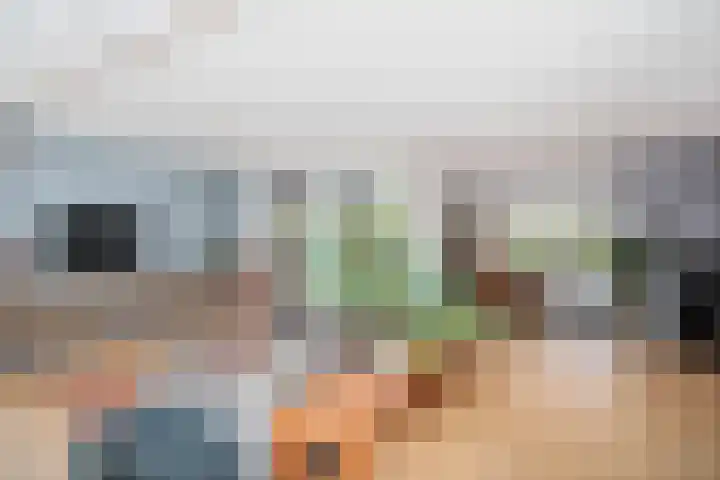 Vuurvlindersingel 12 Utrecht thumbnail 4