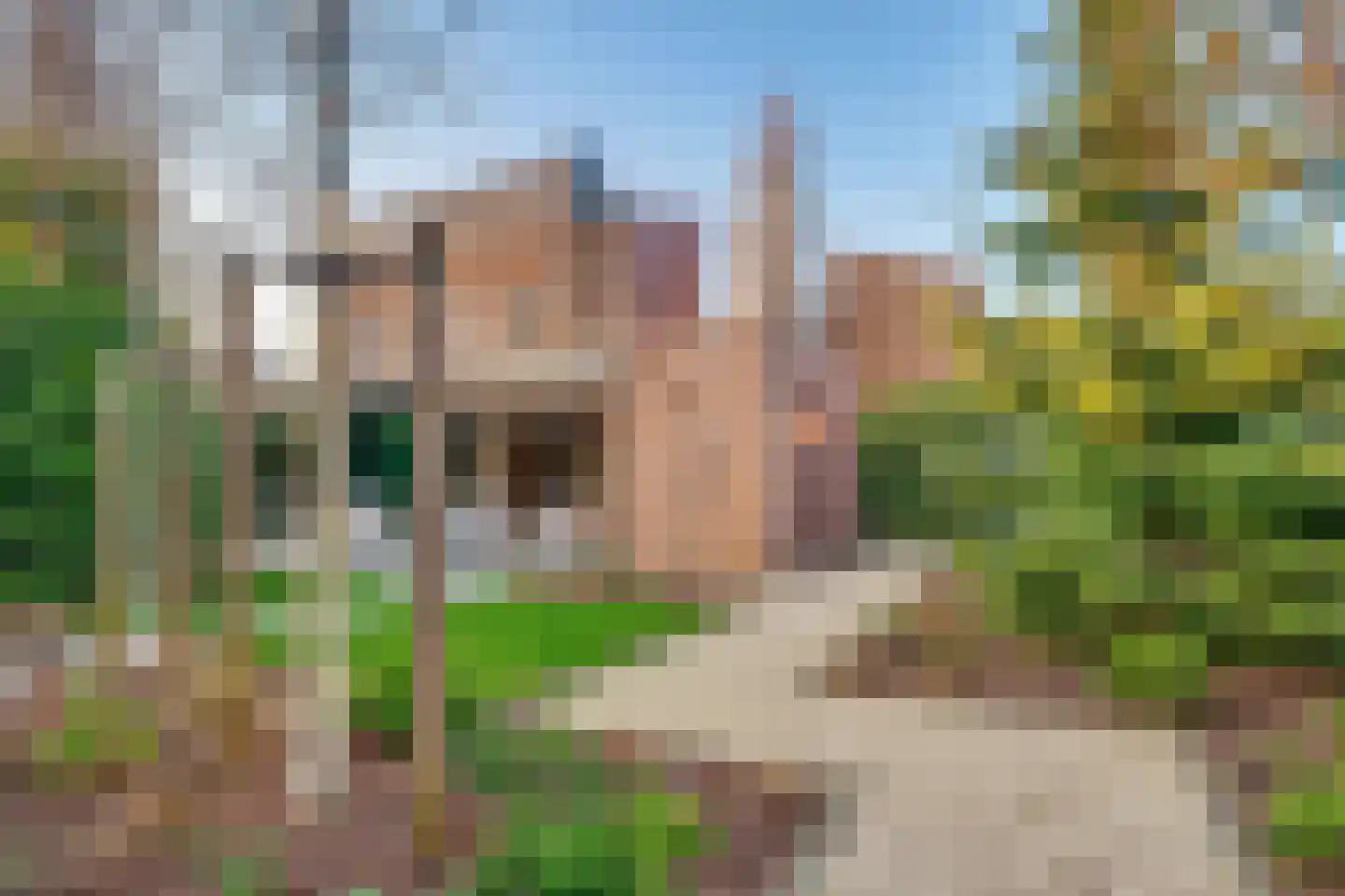 Vuurvlindersingel 18 Utrecht thumbnail 77