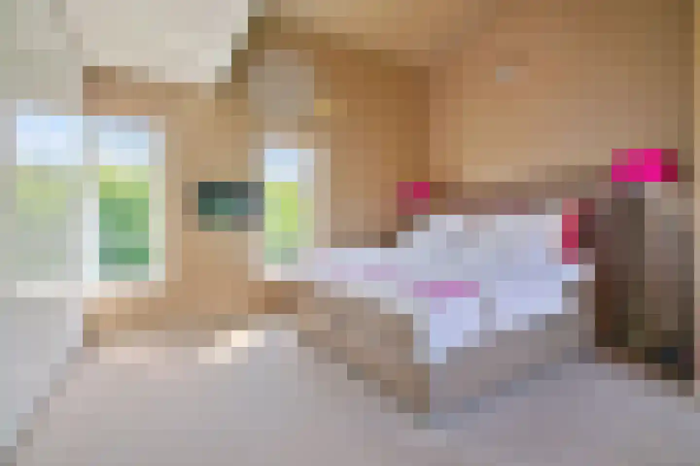 Vuurvlindersingel 24 Utrecht thumbnail 10
