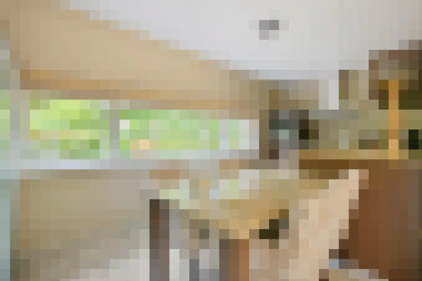 Vuurvlindersingel 24 Utrecht thumbnail 7