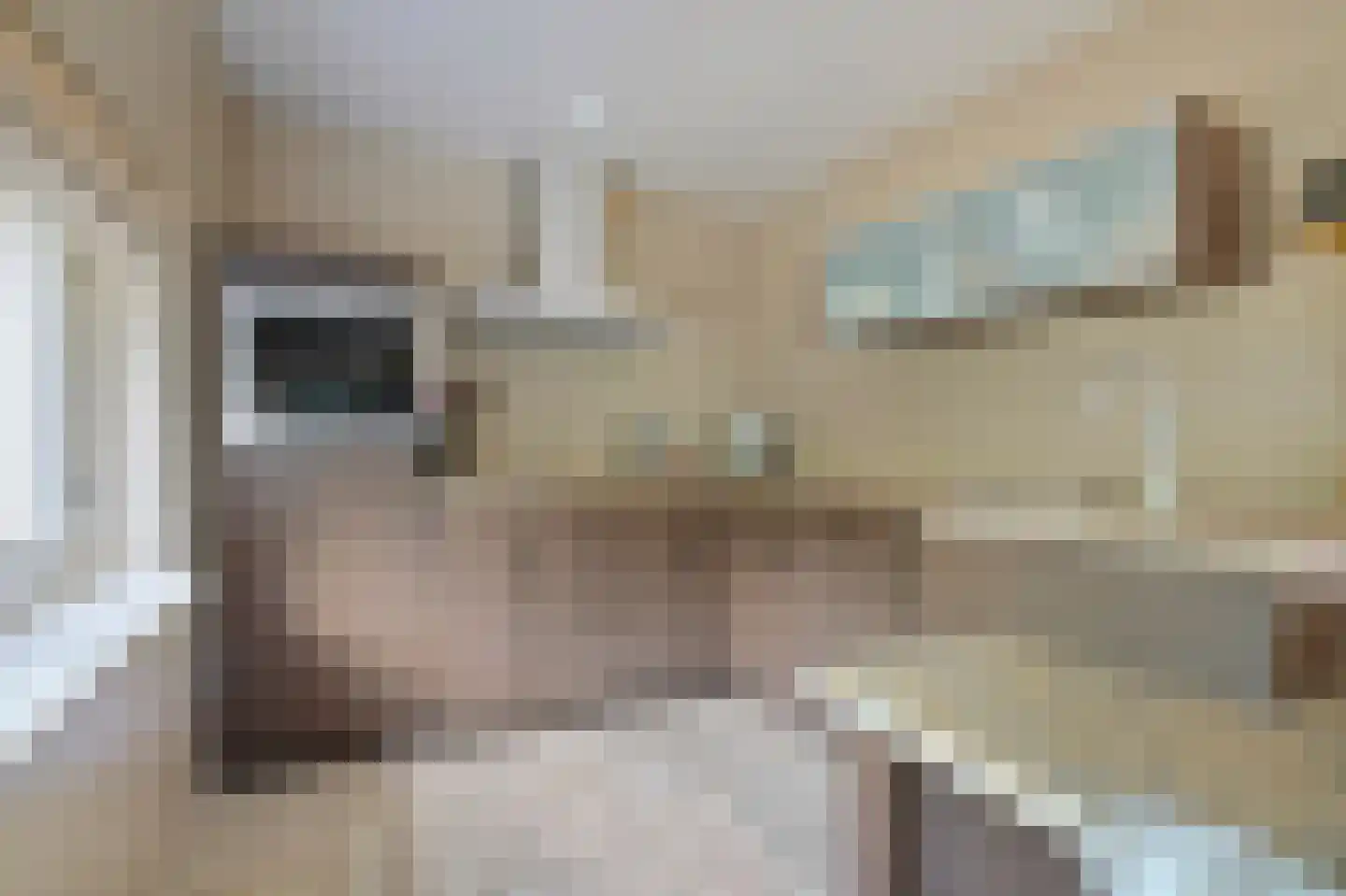 Vuurvlindersingel 24 Utrecht thumbnail 8