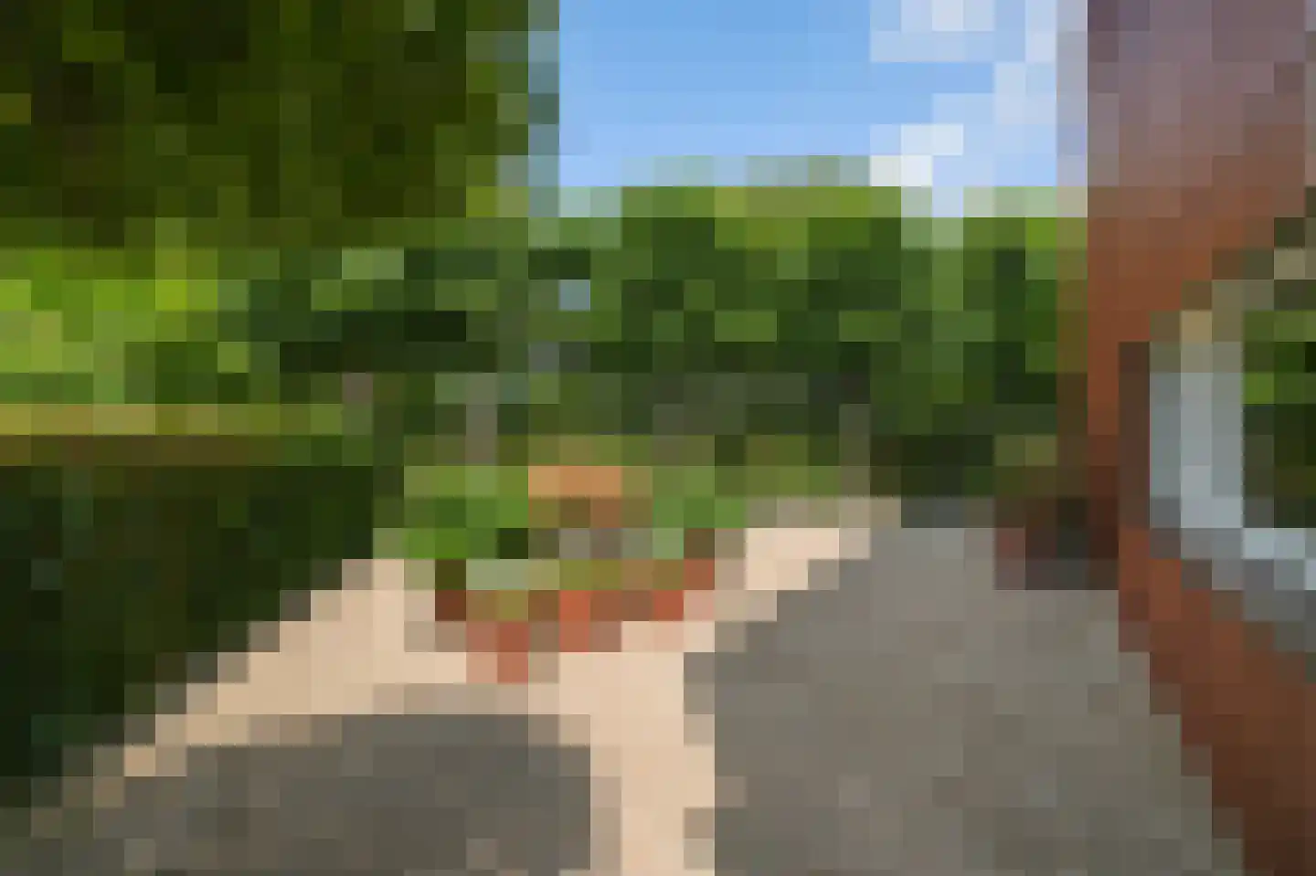 Vuurvlindersingel 24 Utrecht thumbnail 9