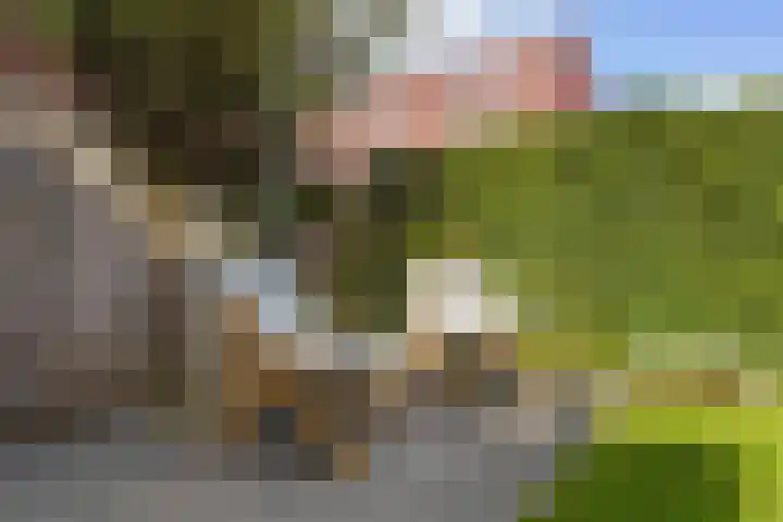 Vuurvlindersingel 82 Utrecht thumbnail 22