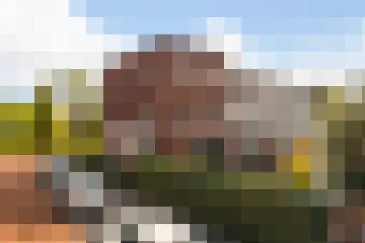Vuurvlindersingel 82 Utrecht thumbnail 41