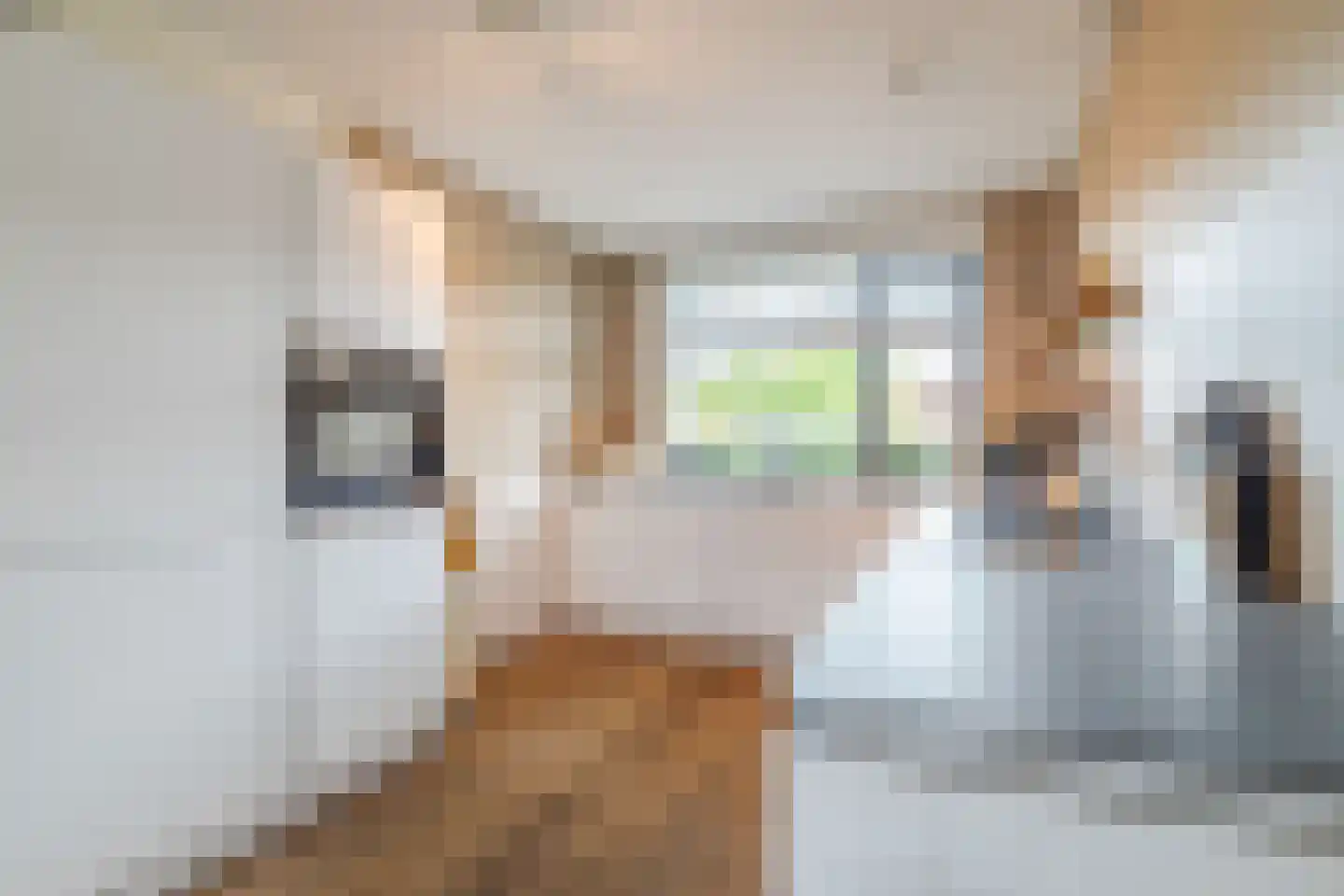 Vuurvlindersingel 86 Utrecht thumbnail 30
