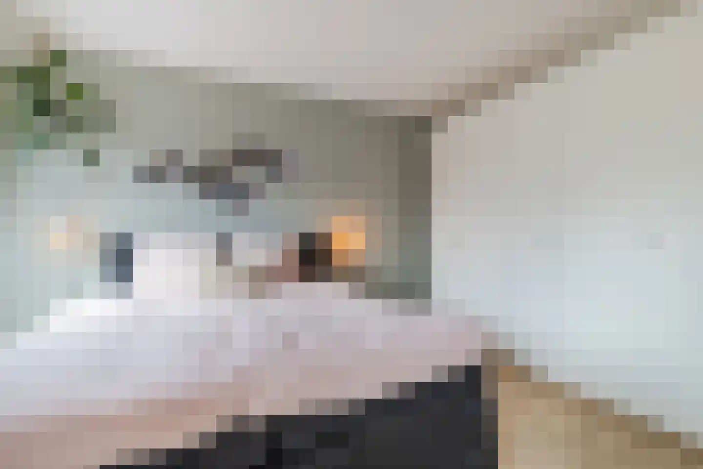 Vuurvlindersingel 86 Utrecht thumbnail 43