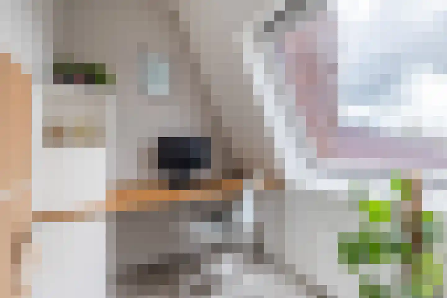 Vuurvlindersingel 86 Utrecht thumbnail 62