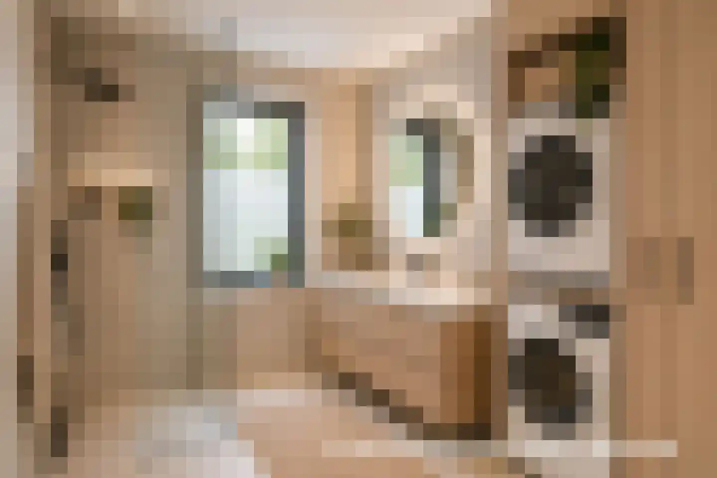 Vuurvlindersingel 86 Utrecht thumbnail 64