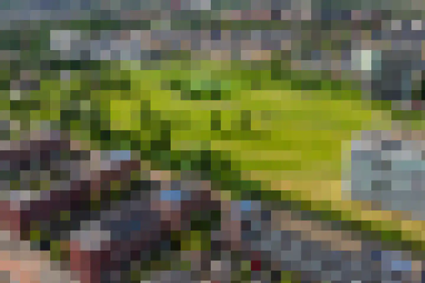 Vuurvlindersingel 86 Utrecht thumbnail 81