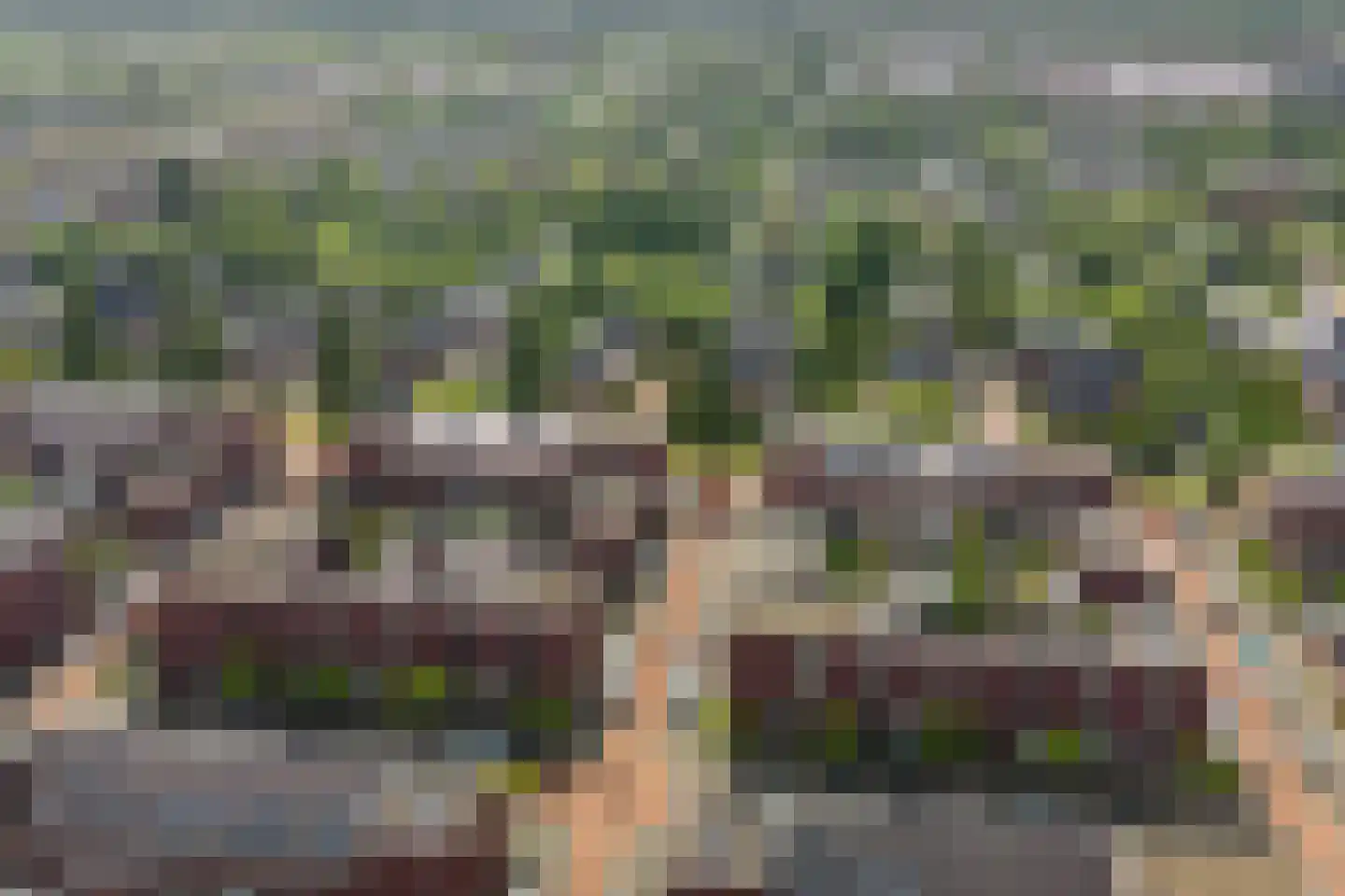 Vuurvlindersingel 86 Utrecht thumbnail 82