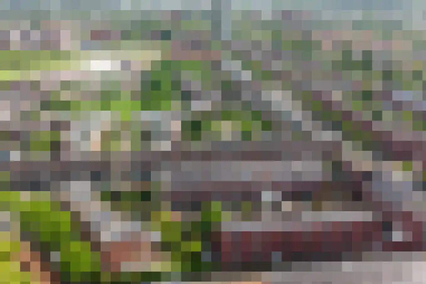 Vuurvlindersingel 86 Utrecht thumbnail 83
