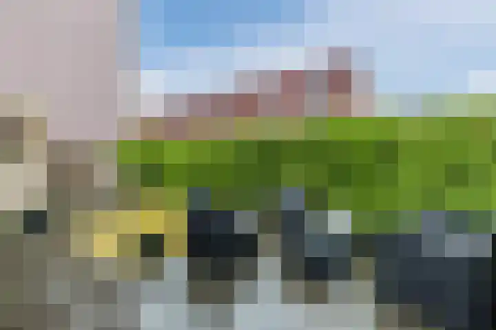 Vuurvlindersingel 94 Utrecht thumbnail 15