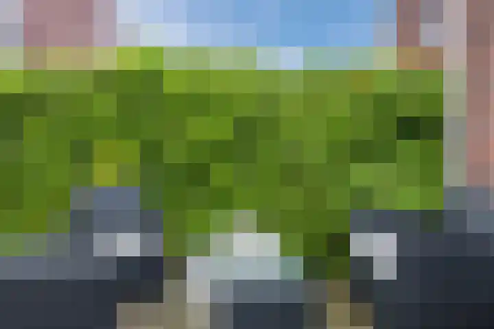 Vuurvlindersingel 94 Utrecht thumbnail 17