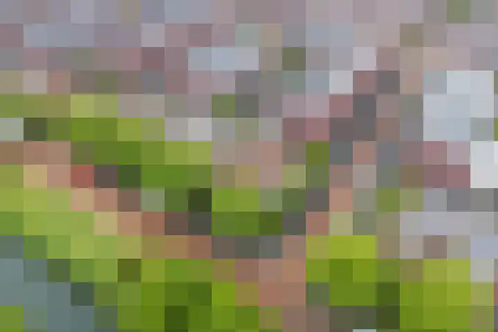Vuurvlindersingel 94 Utrecht thumbnail 42