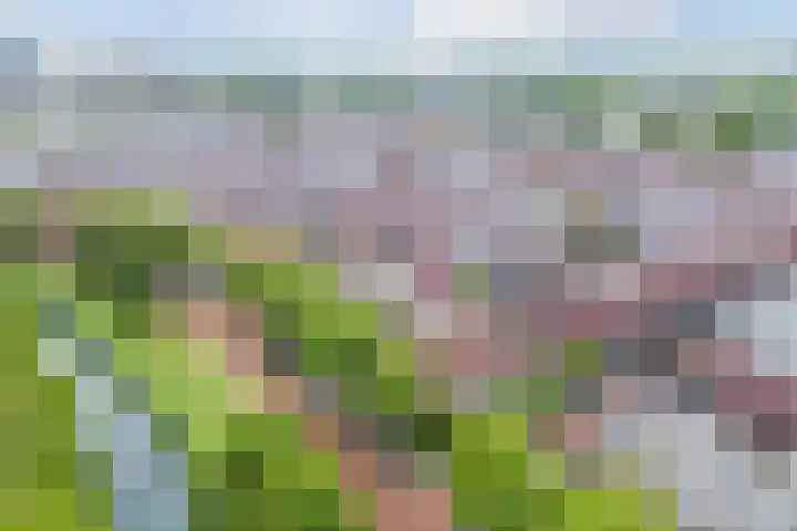 Vuurvlindersingel 94 Utrecht thumbnail 5