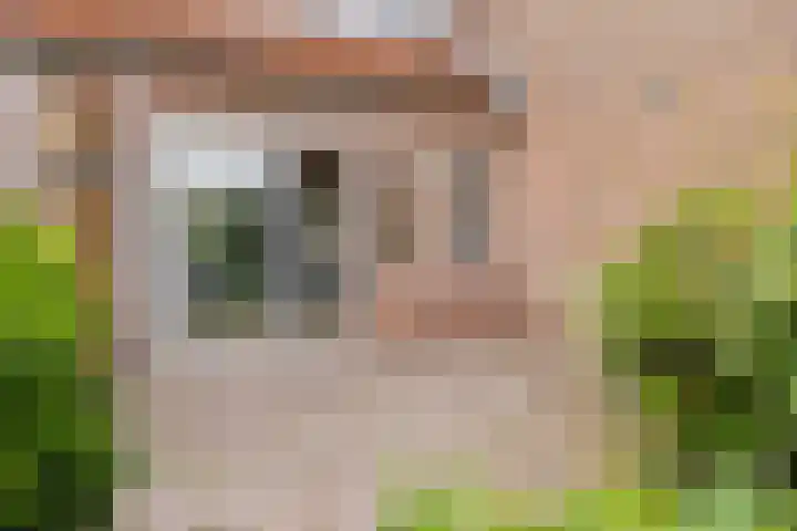 Vuurvlindertje erf 10 Capelle aan den IJssel thumbnail 10