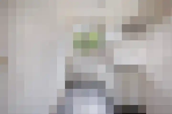 Vuurvlindertje erf 10 Capelle aan den IJssel thumbnail 12