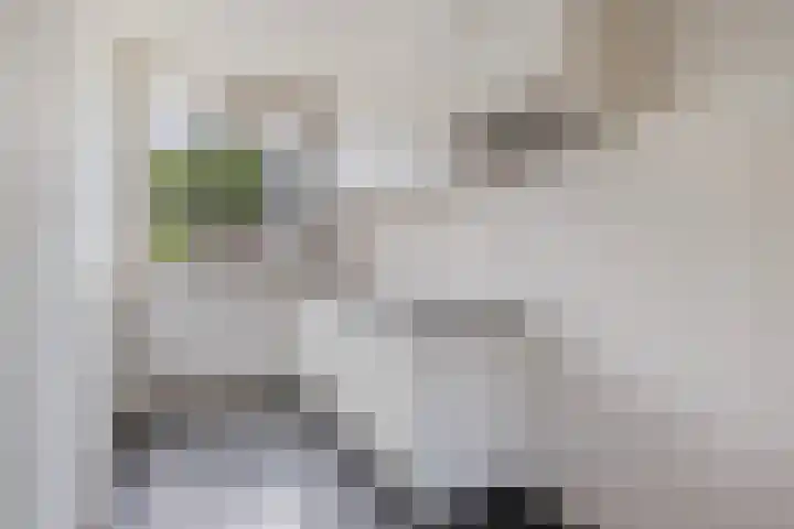 Vuurvlindertje erf 10 Capelle aan den IJssel thumbnail 13