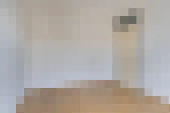 Vuurvlindertje erf 10 Capelle aan den IJssel thumbnail 16