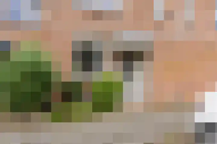 Vuurvlindertje erf 10 Capelle aan den IJssel foto 2