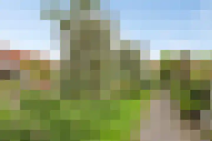 Vuurvlindertje erf 10 Capelle aan den IJssel thumbnail 34