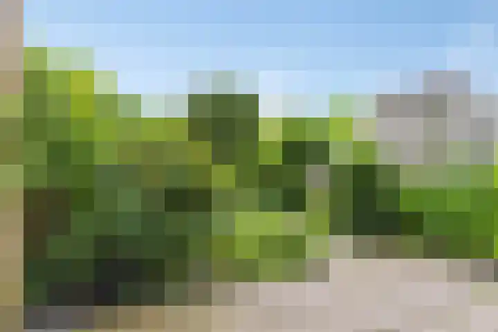Vuurvlindertje erf 10 Capelle aan den IJssel thumbnail 7
