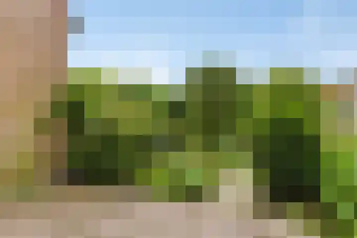 Vuurvlindertje erf 10 Capelle aan den IJssel thumbnail 8
