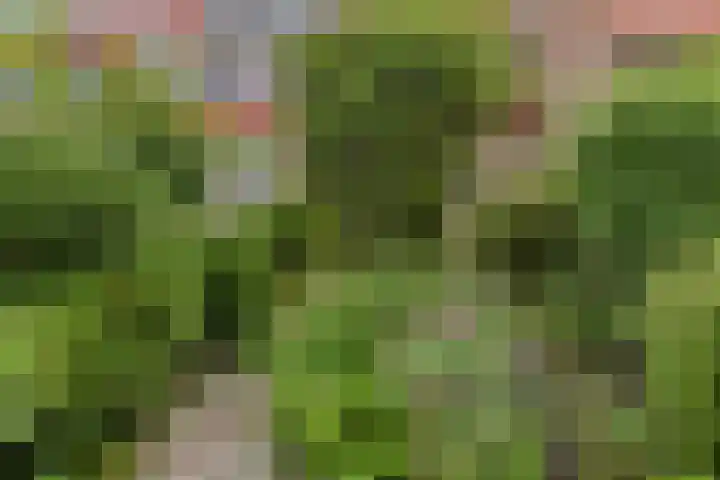 Vuurvlindertje erf 10 Capelle aan den IJssel thumbnail 9