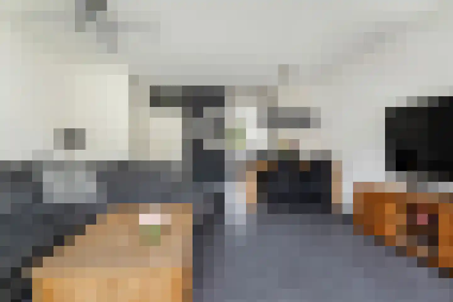 Vuurvlindertje erf 16 Capelle aan den IJssel thumbnail 10