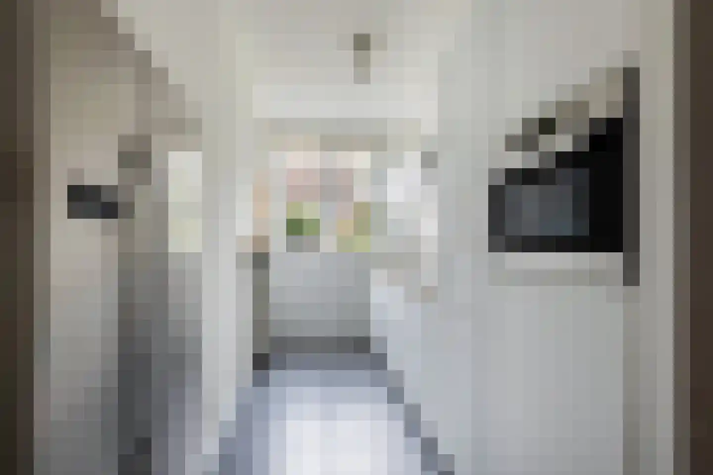 Vuurvlindertje erf 16 Capelle aan den IJssel thumbnail 13